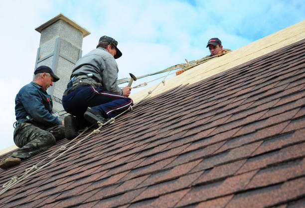Best Storm Damage Roof Repair  in Hilltop, SC